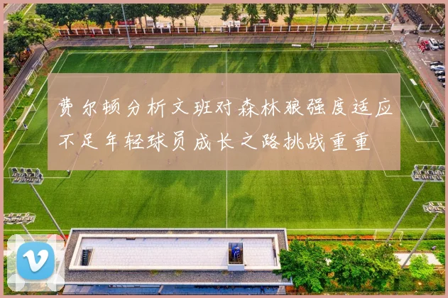 费尔顿分析文班对森林狼强度适应不足年轻球员成长之路挑战重重